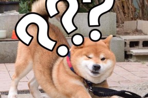 雷竞技电竞赛事德罗巴在RNG比赛中挺进下一轮，败北引发热议！的简单介绍